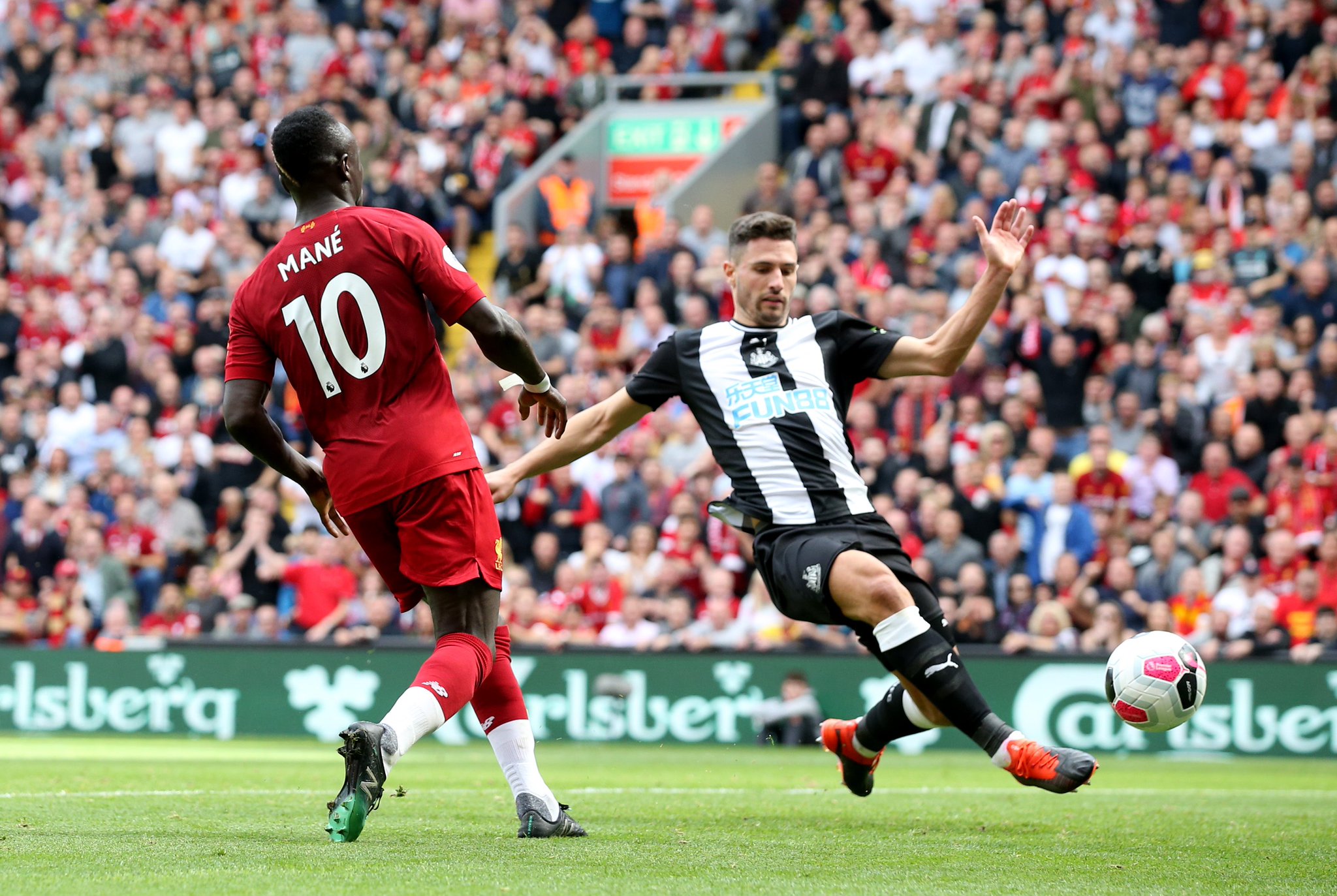 来自加拿大 来自加拿大